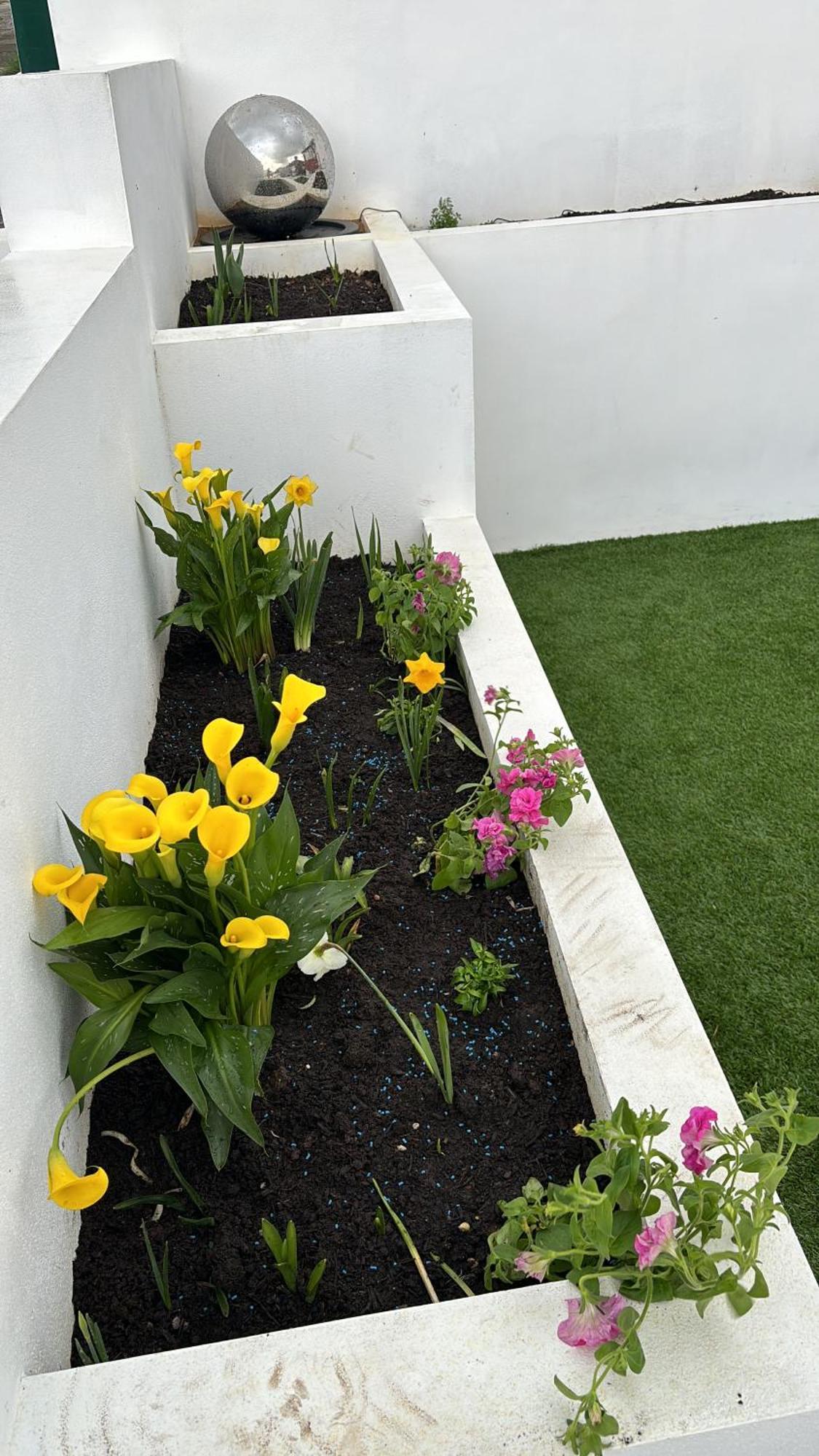 Saltdean Heights Διαμέρισμα Εξωτερικό φωτογραφία